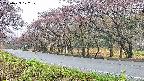 takano5-20250429122110.jpg