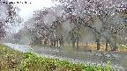 takano5-20250429123110.jpg