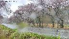 takano5-20250429133111.jpg