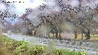 takano5-20250429134110.jpg