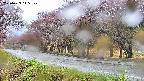 takano5-20250429145108.jpg