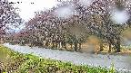 takano5-20250429151109.jpg