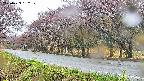 takano5-20250429152111.jpg
