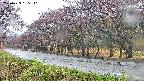 takano5-20250429155112.jpg