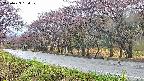 takano5-20250429160110.jpg