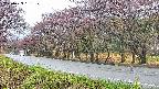 takano5-20250429161111.jpg