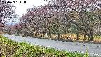 takano5-20250429163113.jpg