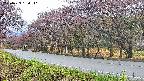 takano5-20250429164112.jpg