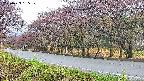 takano5-20250429165111.jpg