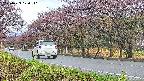 takano5-20250429170112.jpg