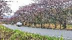 takano5-20250429171111.jpg
