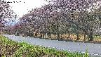 takano5-20250429172111.jpg