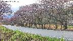 takano5-20250429173109.jpg