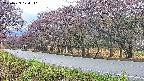 takano5-20250429174112.jpg