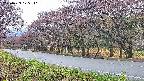 takano5-20250429175112.jpg