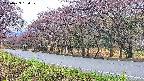takano5-20250429180110.jpg