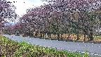 takano5-20250429181111.jpg