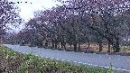 takano5-20250429182110.jpg