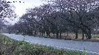 takano5-20250429183109.jpg