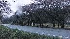 takano5-20250429184109.jpg