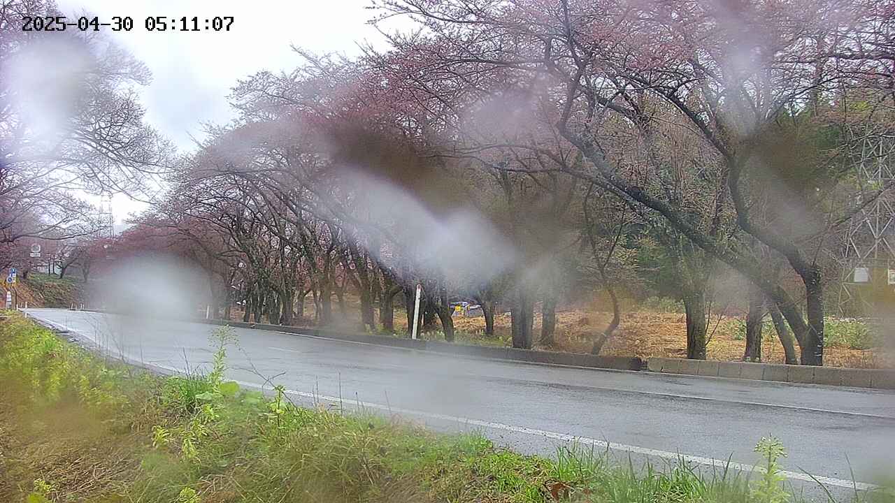 takano5-20250430051109.jpg