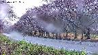 takano5-20250430053110.jpg