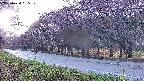 takano5-20250430055111.jpg