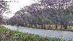 takano5-20250430062110.jpg
