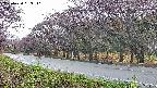 takano5-20250430063111.jpg