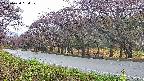 takano5-20250430064111.jpg