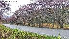 takano5-20250430065111.jpg