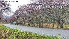 takano5-20250430070113.jpg