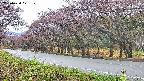 takano5-20250430071111.jpg