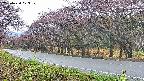 takano5-20250430073111.jpg