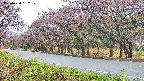 takano5-20250430082112.jpg