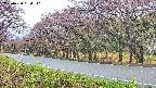 takano5-20250430084113.jpg
