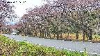 takano5-20250430085113.jpg