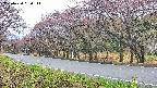 takano5-20250430090114.jpg