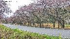 takano5-20250430091112.jpg