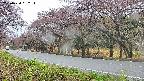 takano5-20250430092118.jpg