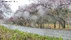 takano5-20250430093111.jpg