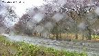 takano5-20250430094109.jpg