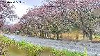 takano5-20250430103112.jpg