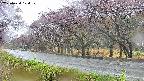 takano5-20250430104111.jpg
