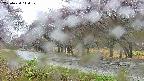 takano5-20250430110111.jpg