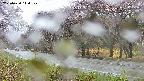 takano5-20250430114111.jpg