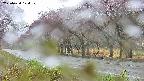 takano5-20250430124109.jpg