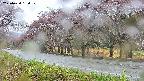 takano5-20250430130111.jpg