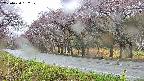 takano5-20250430132112.jpg