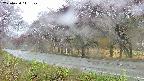 takano5-20250430141111.jpg